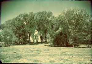 Image description is not available for PHO-4-W689-953